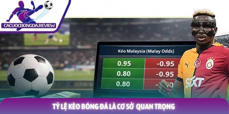 Tỷ lệ kèo bóng đá là cơ sở vô cùng quan trọng Tỷ lệ kèo bóng đá là cơ sở vô cùng quan trọng